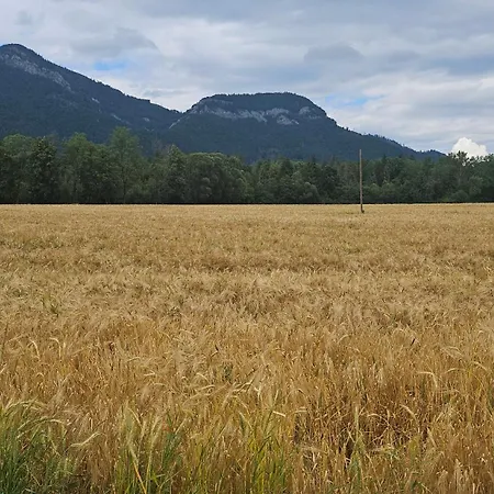 Drevenica Jurosik Hébergement de vacances Liptovske Matiasovce