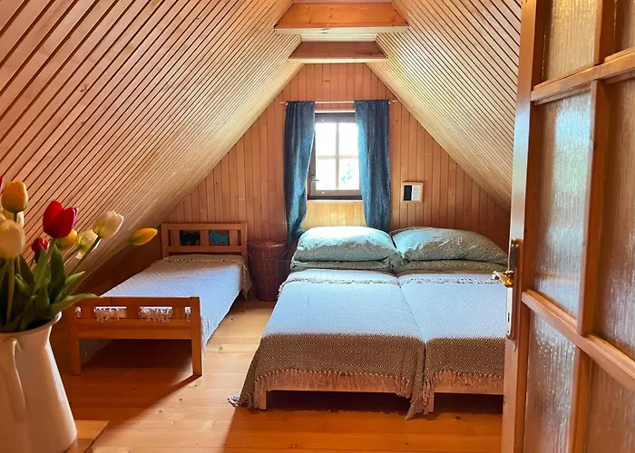 Drevenica Jurošík *